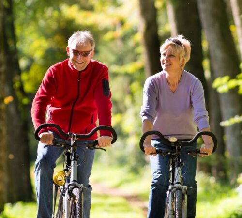 Trekking-E-Bike