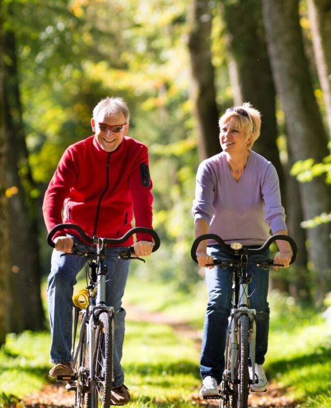 Trekking-E-Bike